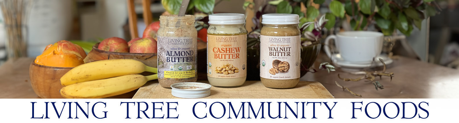 Nut Butter Newsletter Header