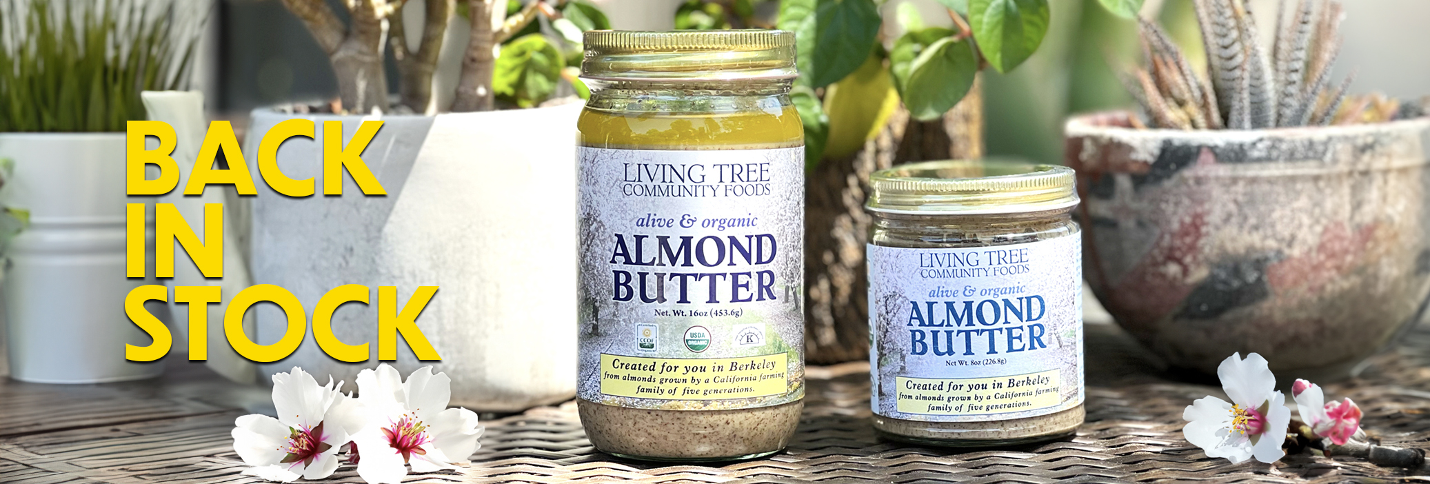 Almond Butter Back in Stock Banner