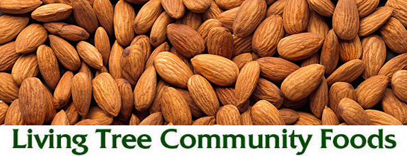 Almond Newsletter Header