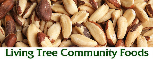 Brazil Nuts Newsletter Header
