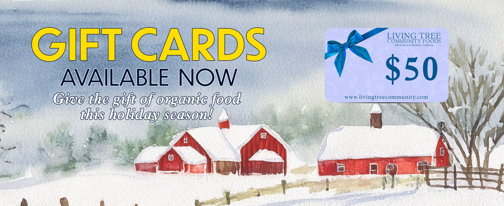 Gift Card Homepage Banner