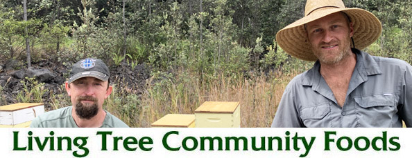 Hawaiian Beekeepers Newsletter Header