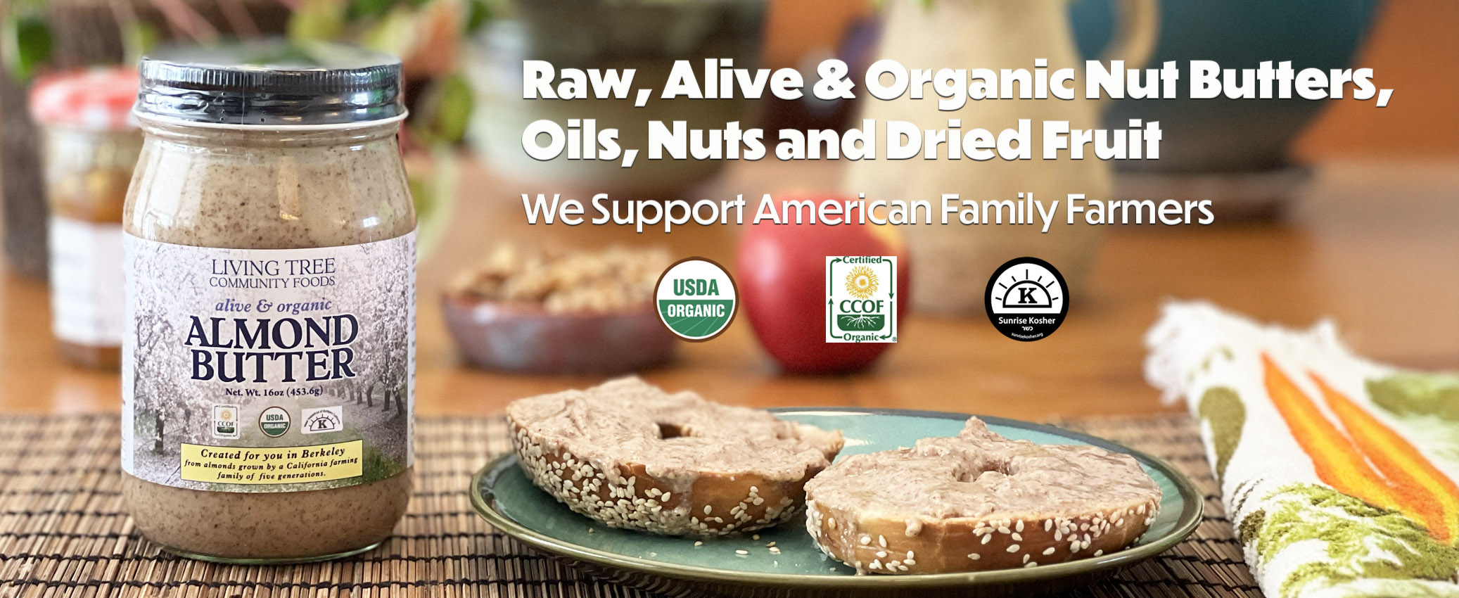 Almond Butter Bagel Homepage Banner