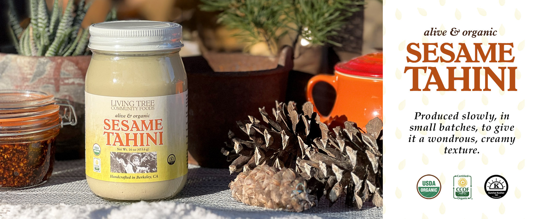 Winter Tahini Homepage Banner