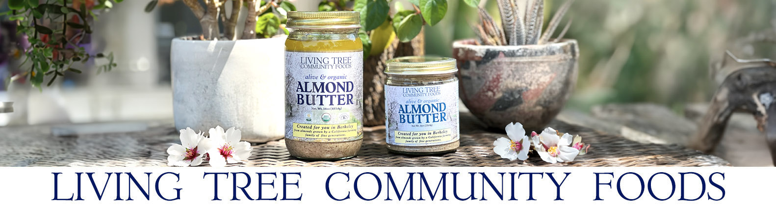 Almond Butter Newsletter Header