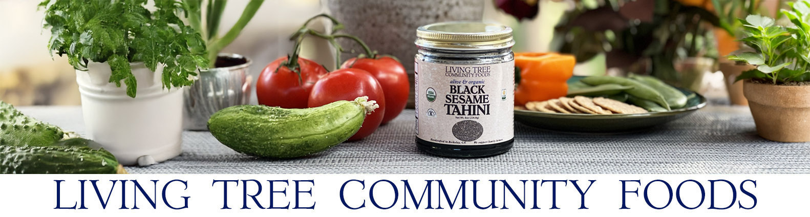 Black Sesame Tahini Newsletter Header