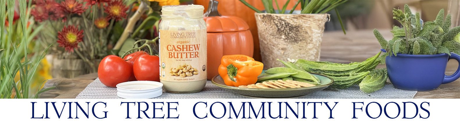 Cashew Butter 16oz Newsletter Header