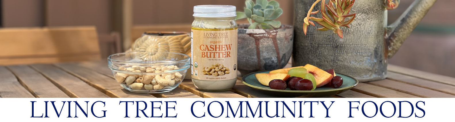 Cashew Butter Newsletter Header