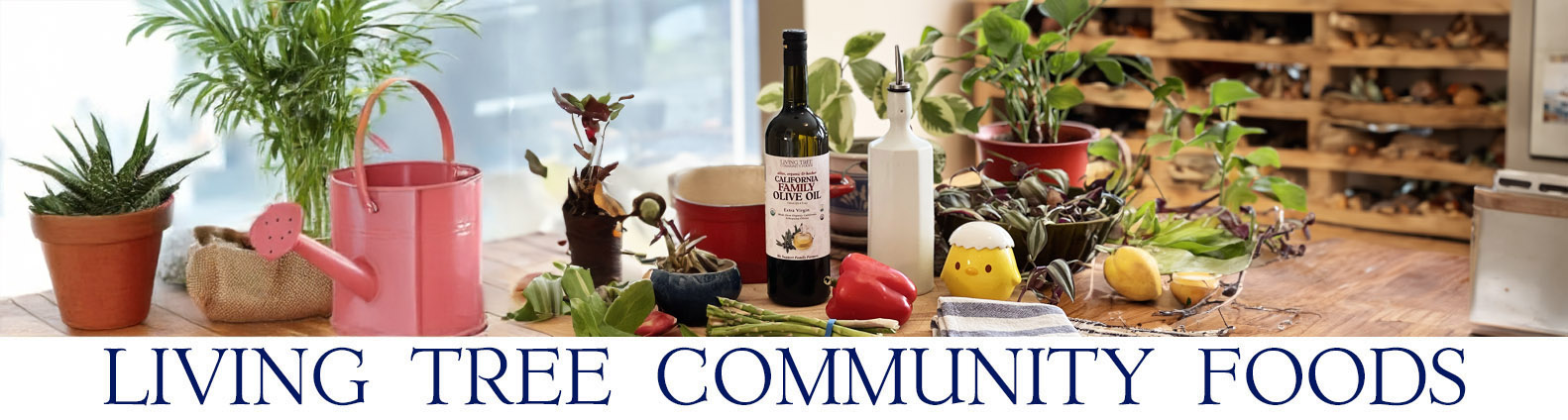 California Family Olive Oil Newsletter Header