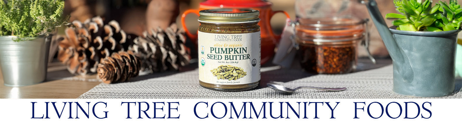 Pumpkin Seed Butter Newsletter Header