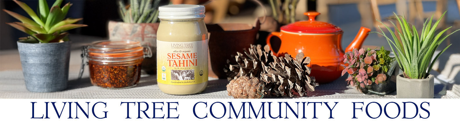 Tahini Newsletter Header