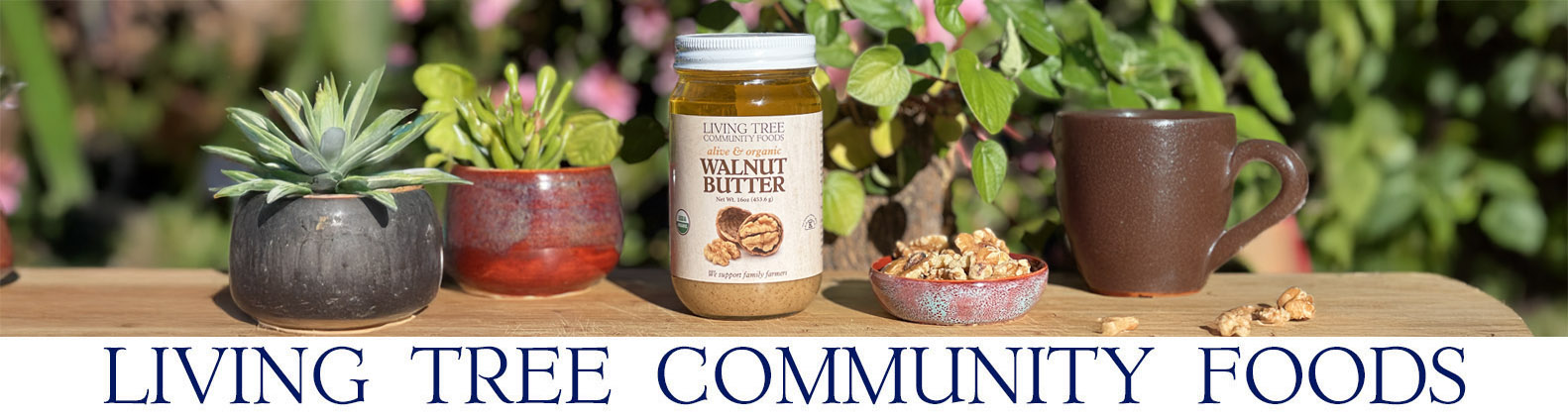 Walnut Butter Newsletter Header