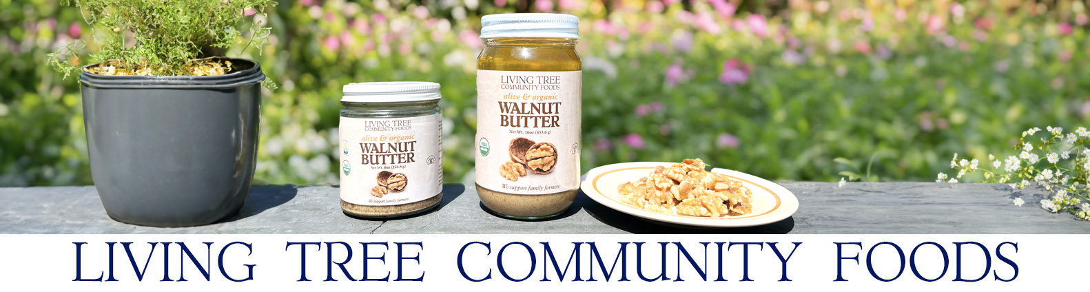 Walnut Butter Newsletter Header