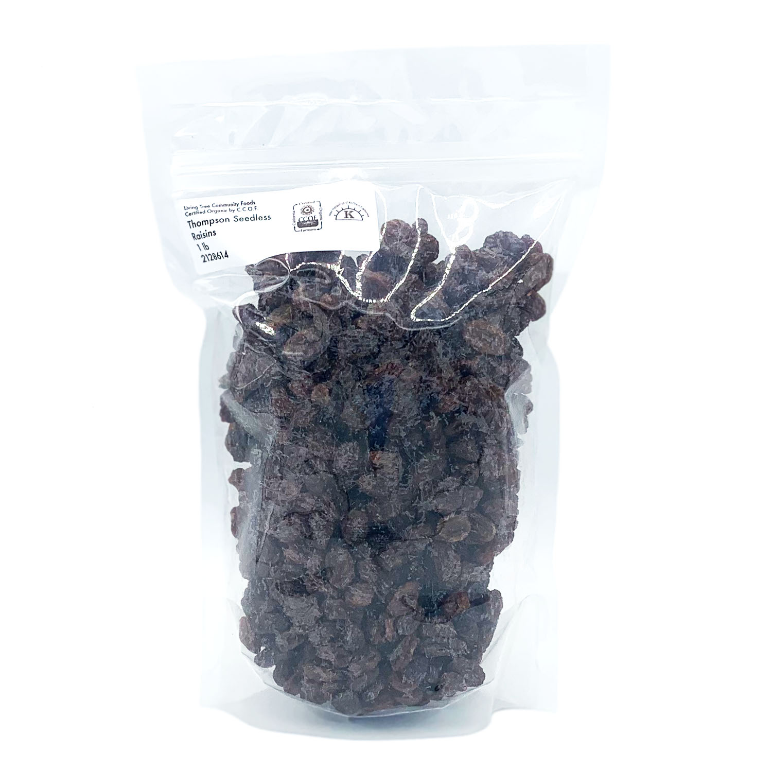 Seedless Raisins - Large Flavorful Raisins 