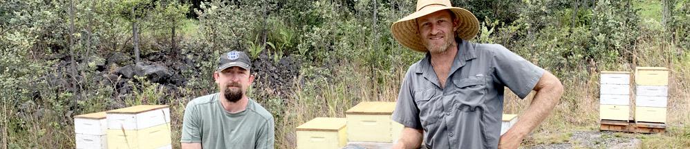 Sweeteners Catagory Bee Keepers