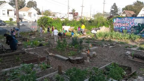 Community Garden